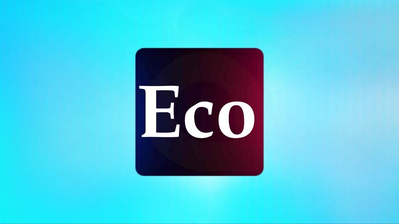 הסבר על תוכנית Eco במדיח הכלים